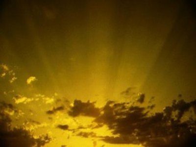 SAP custom development