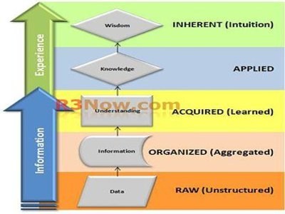 learning organization