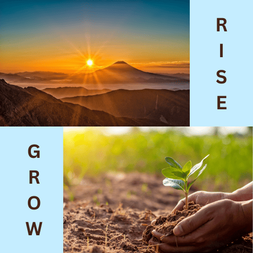 SAP program RISE vs GROW