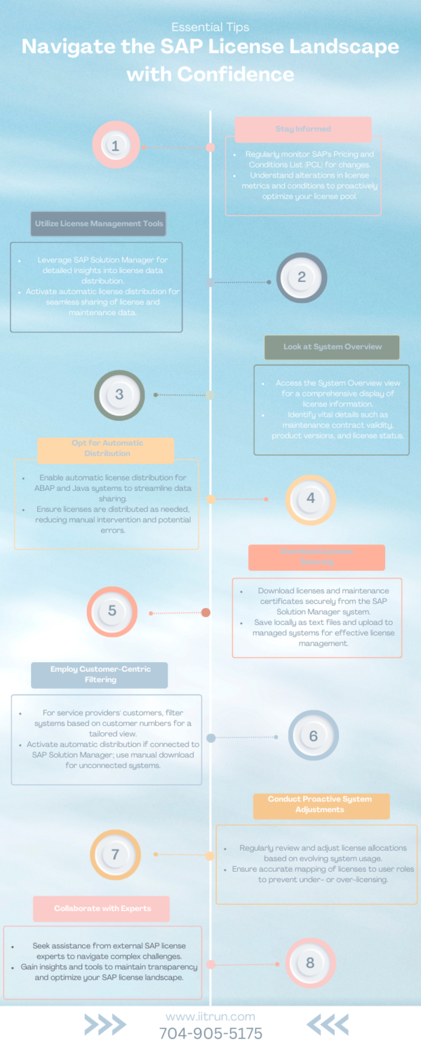 sap license landscape essential tips