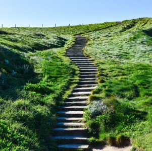 The Importance of AI Onboarding, and How You Can Onboard Your Organization onboarding training milestones AI
