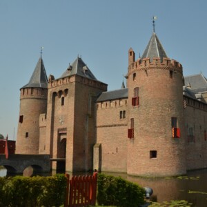 Are You Considering a Local LLM? moat local llm