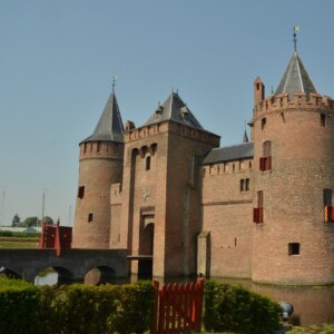 Are You Considering a Local LLM? moat local llm